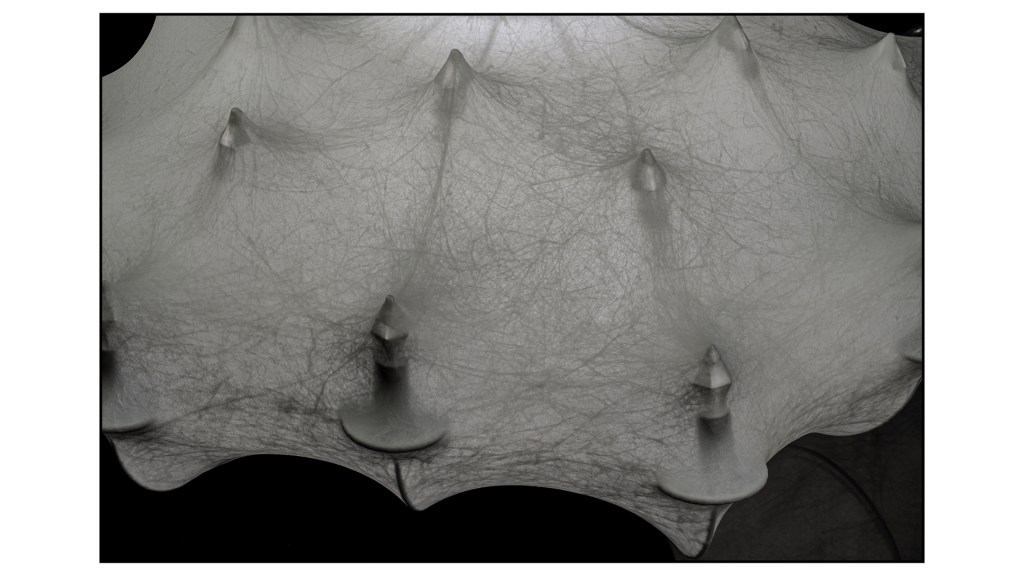 Flos stephan larroque photographe