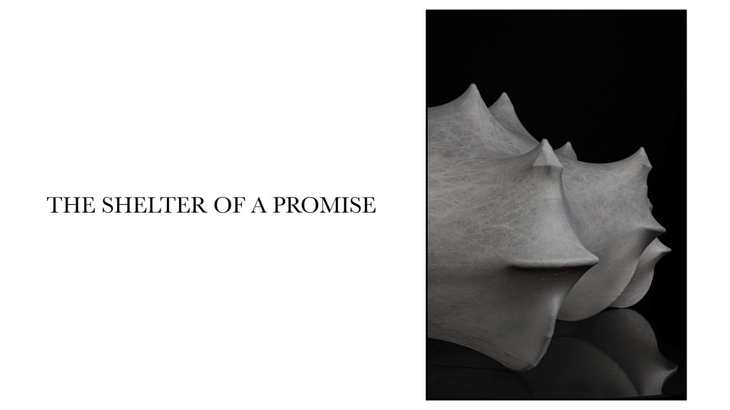 Flos stephan larroque photographe