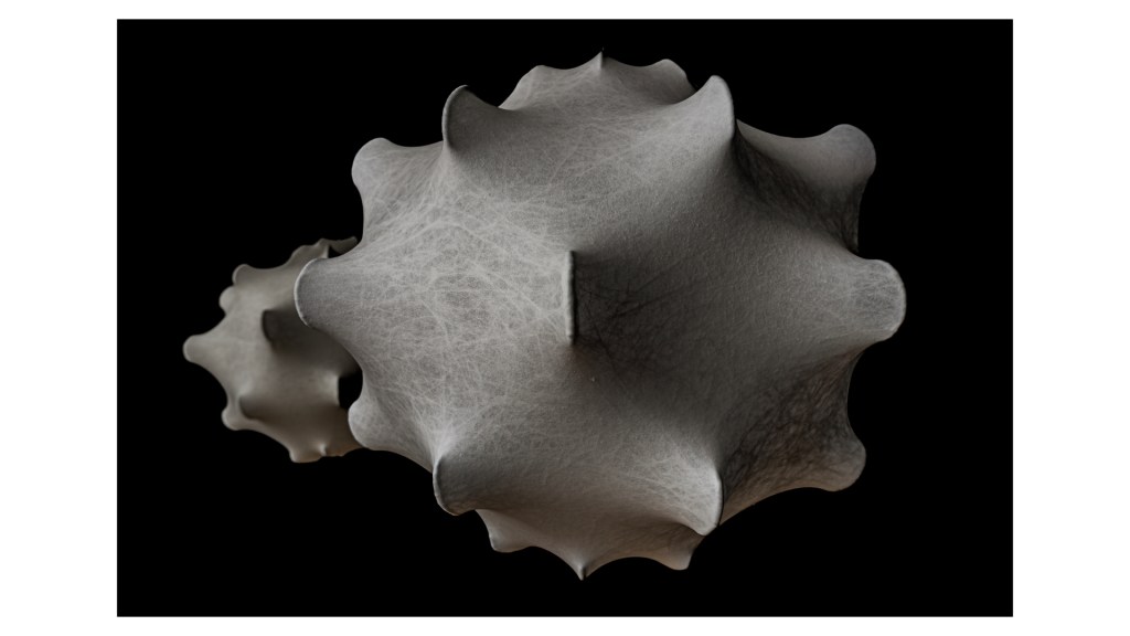 Flos stephan larroque photographe