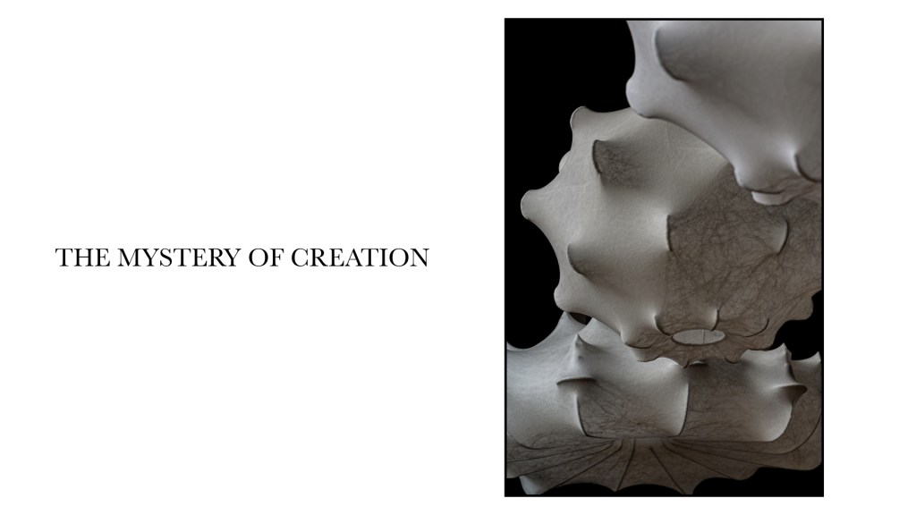 Flos stephan larroque photographe