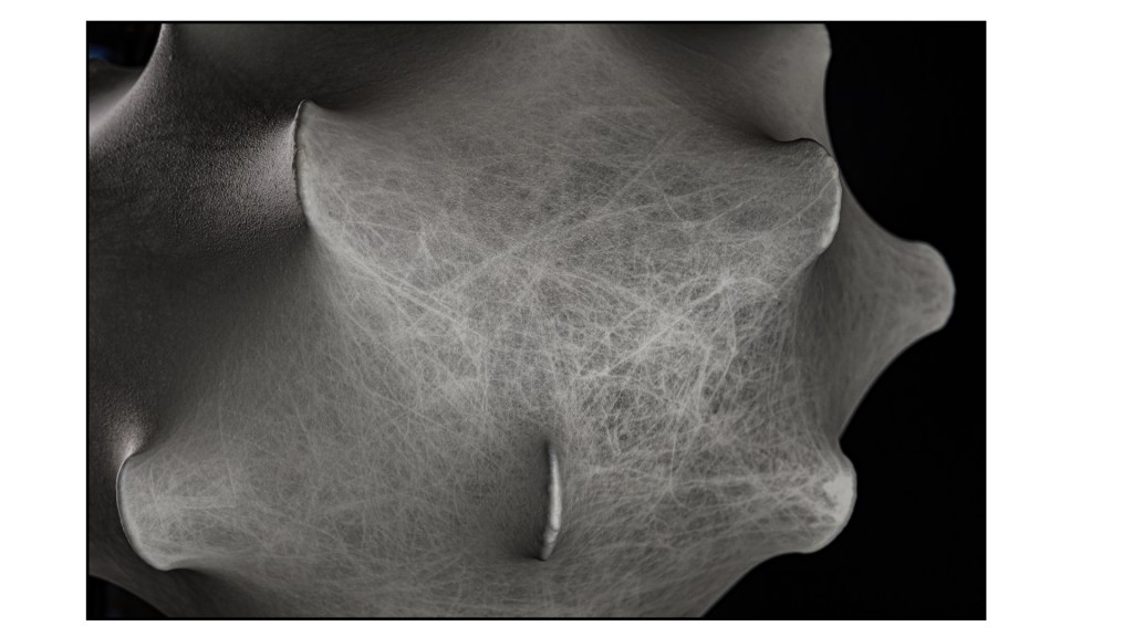 Flos stephan larroque photographe