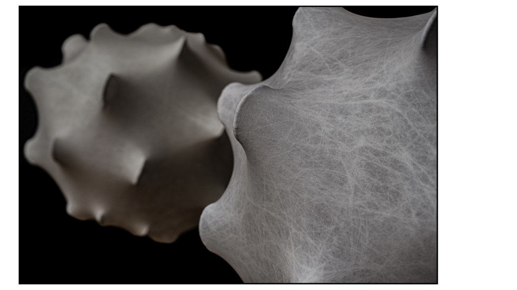 Flos stephan larroque photographe