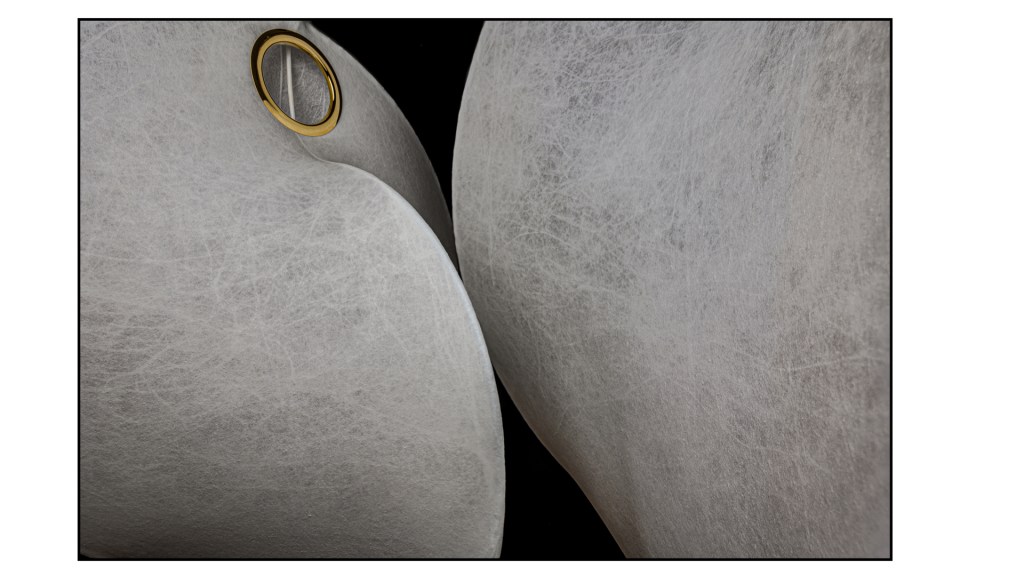 Flos stephan larroque photographe