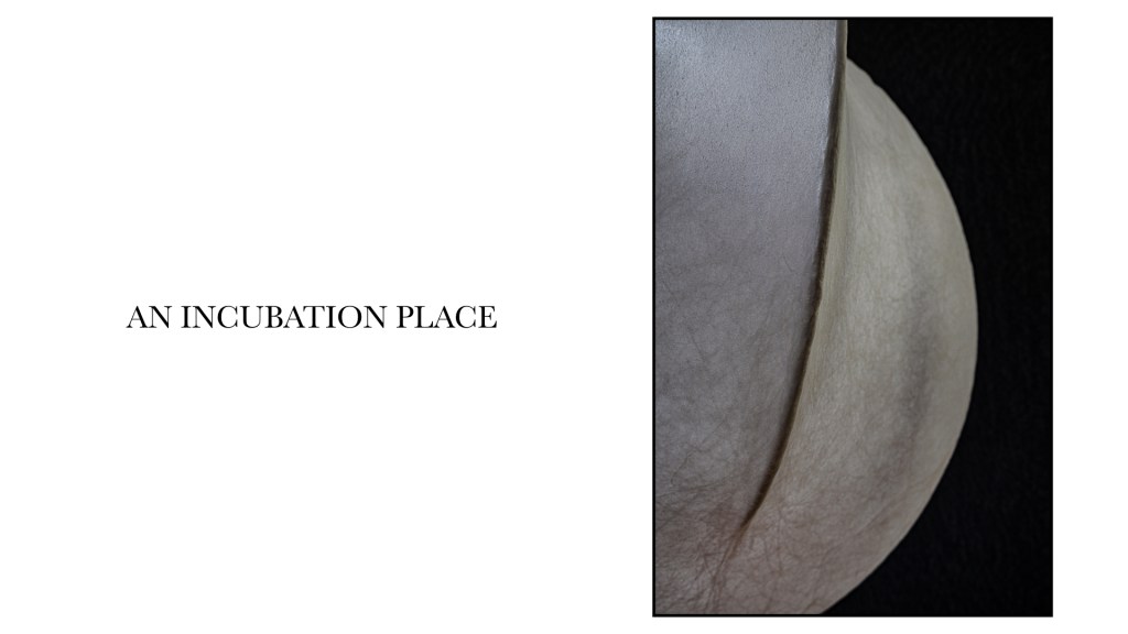 Flos stephan larroque photographe