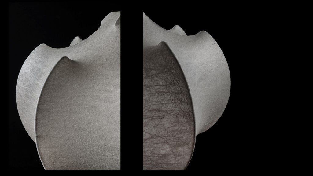 Flos stephan larroque photographe