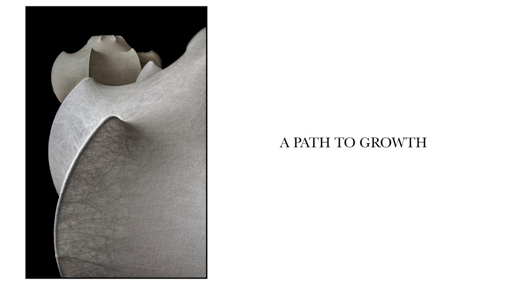 Flos stephan larroque photographe