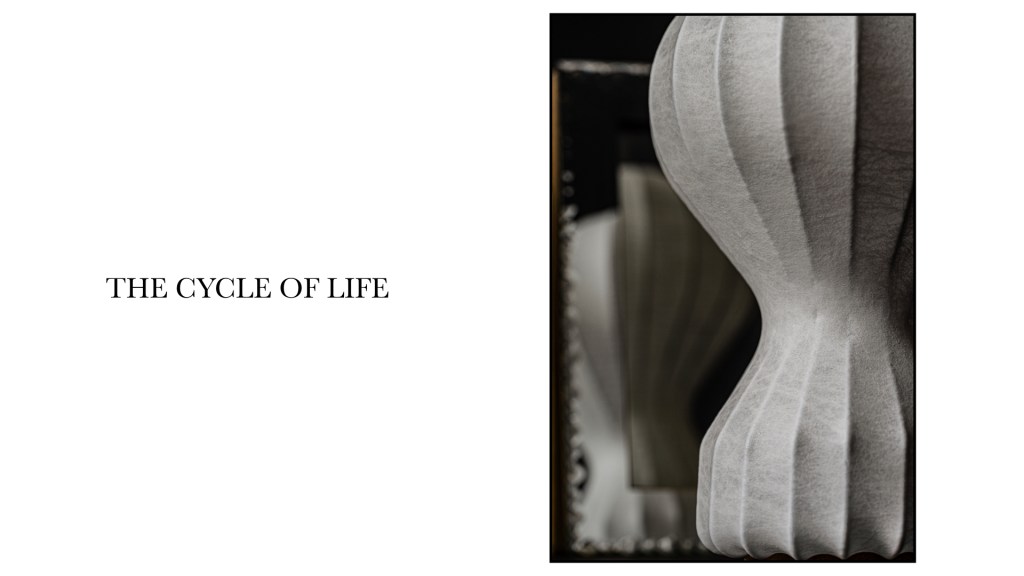 Flos stephan larroque photographe