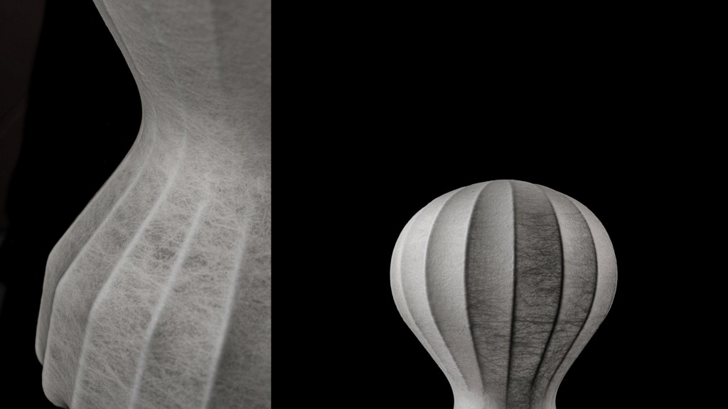 Flos stephan larroque photographe