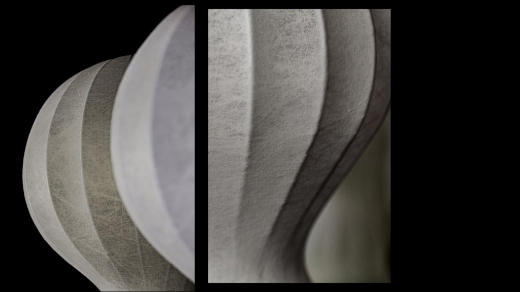 Flos stephan larroque photographe