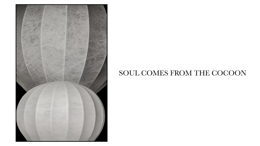 Flos stephan larroque photographe