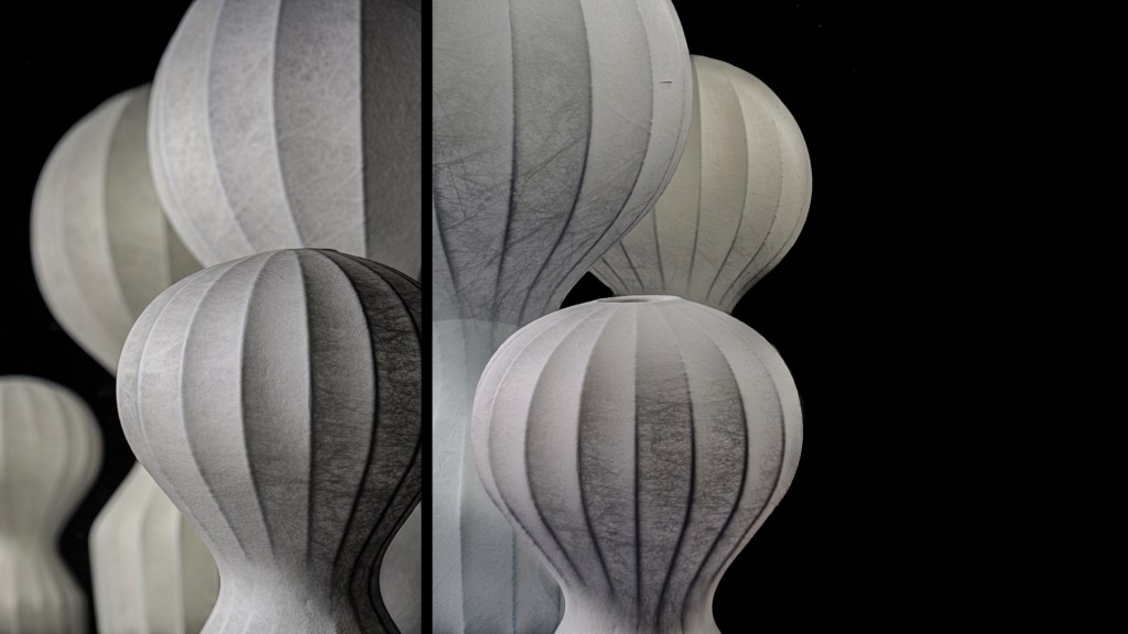 Flos stephan larroque photographe