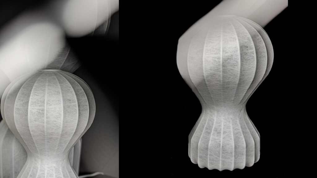 Flos stephan larroque photographe